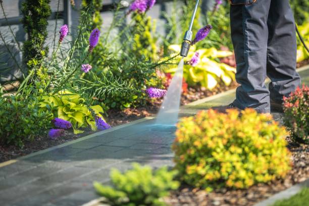 Felton, CA  Pressure Washing Services Company
